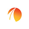 Australia Wide Coaches logo