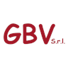 AUTOLINEE G.B.V. S.r.l logo