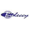 Bielawa Busy logo