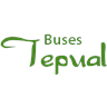 Buses Tepual logo