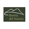 Busvia del Vesuvio logo