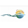 Catamaran El Sensation logo