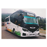 Dyana Express logo