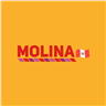 Expresos Molina Union logo