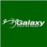 Galaxy Ferry logo