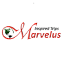 Marvelus Bus & Shuttle logo