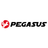 PEGASUS GROUP Ltd. logo