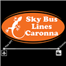 Caronna Tour Srl logo