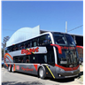 Ray Bus logo