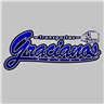 Transportes Gracianos logo