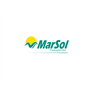 Transportes Marsol logo