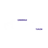 Truva logo