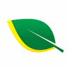 Verde Transportes logo