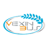Vexin logo