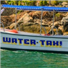 Water Taxi Jack logo