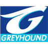 Greyhound ZA logo