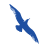 Cape Air logo