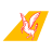 Pegasus Airlines logo