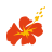 Air Caledonie International logo